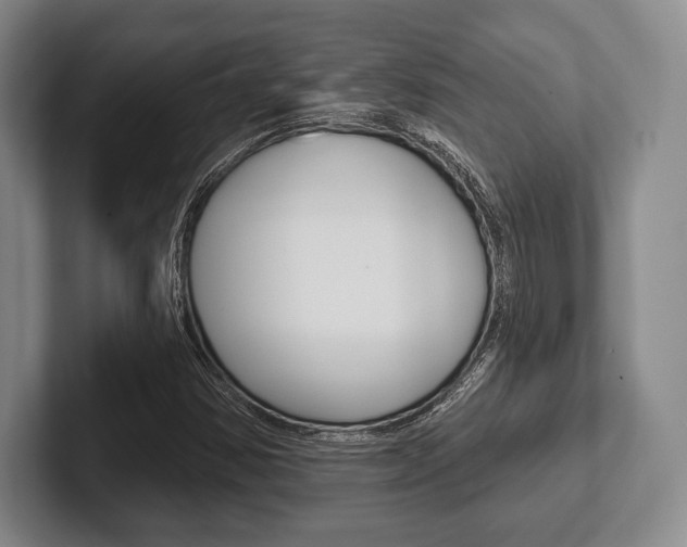 X0000102541354200808081041