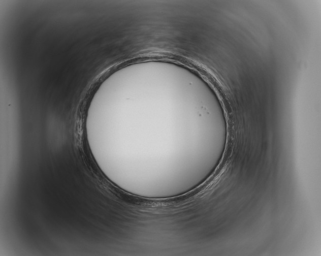 X0000102541355200808081041