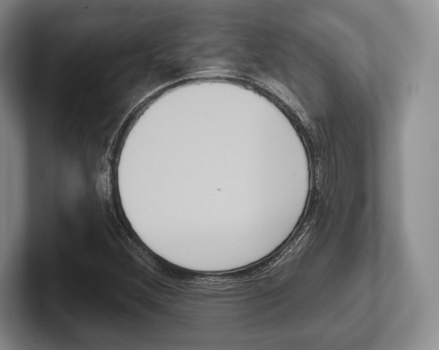 X0000102541356200808081041
