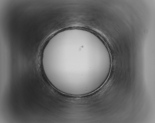 X0000102541359200808081041