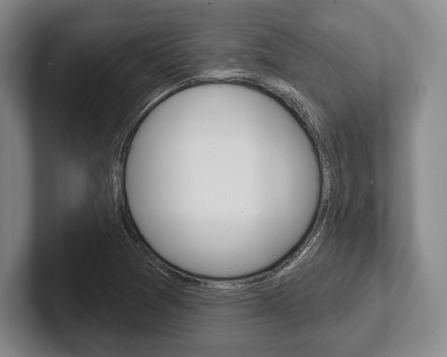 X0000102541361200808081041