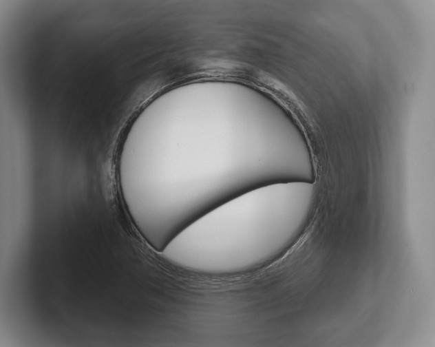 X0000102541362200808081041