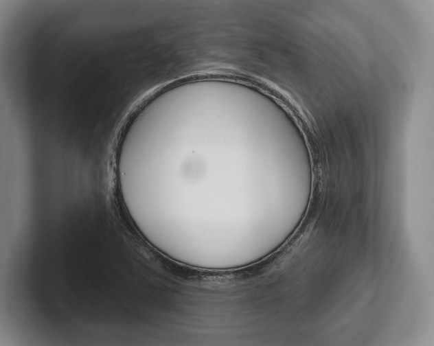 X0000102541363200808081041