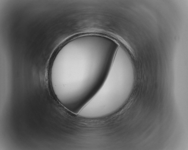 X0000102541364200808081041