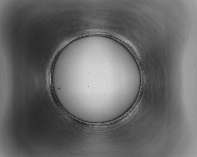 X0000102541365200808081041