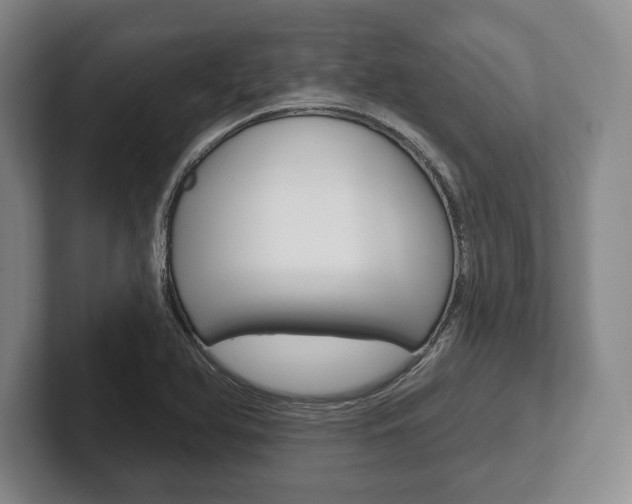 X0000102541366200808081041