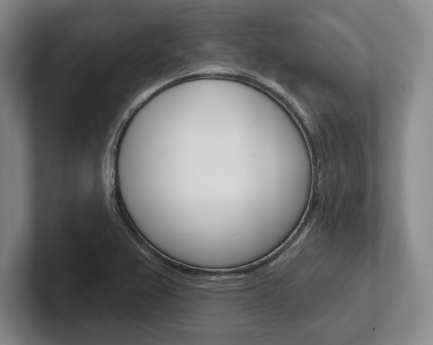 X0000102541367200808081041