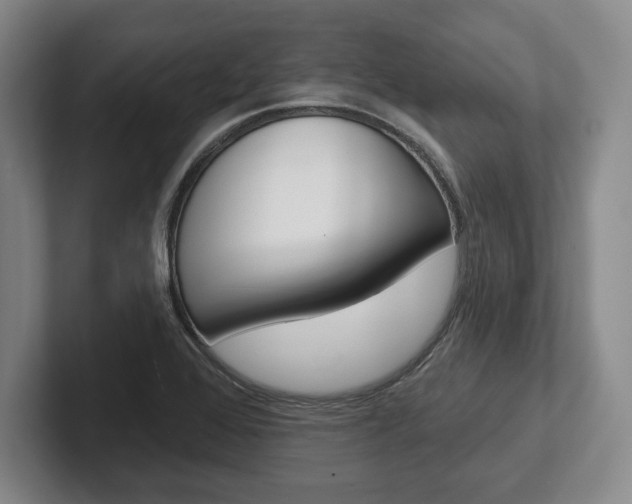 X0000102541368200808081041