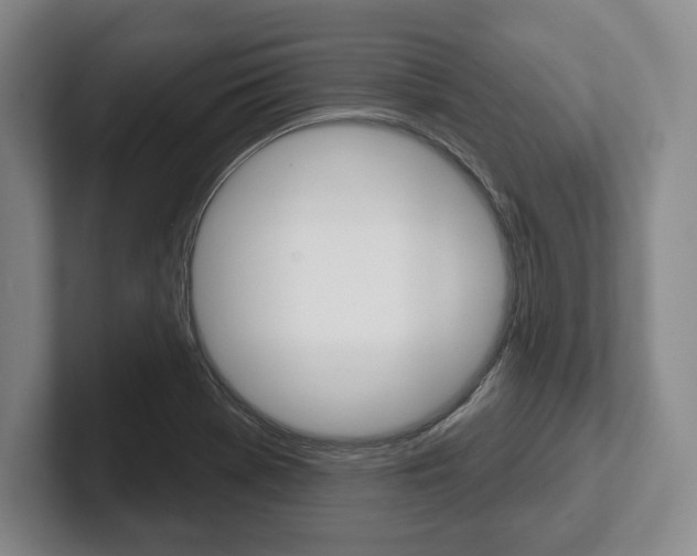 X0000102541369200808081041