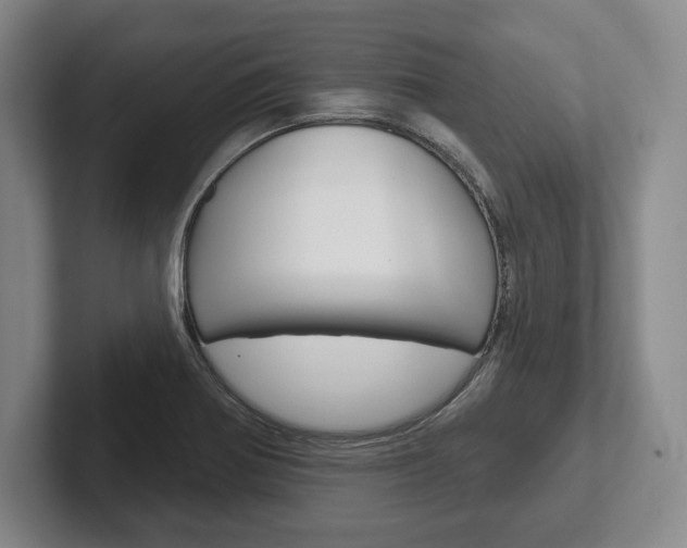 X0000102541370200808081041