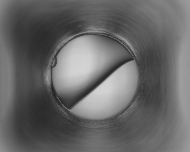 X0000102541371200808081041