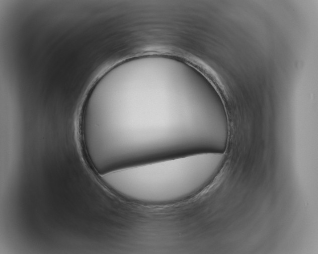 X0000102541373200808081041