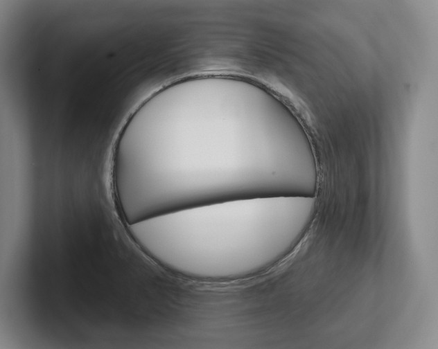 X0000102541374200808081041
