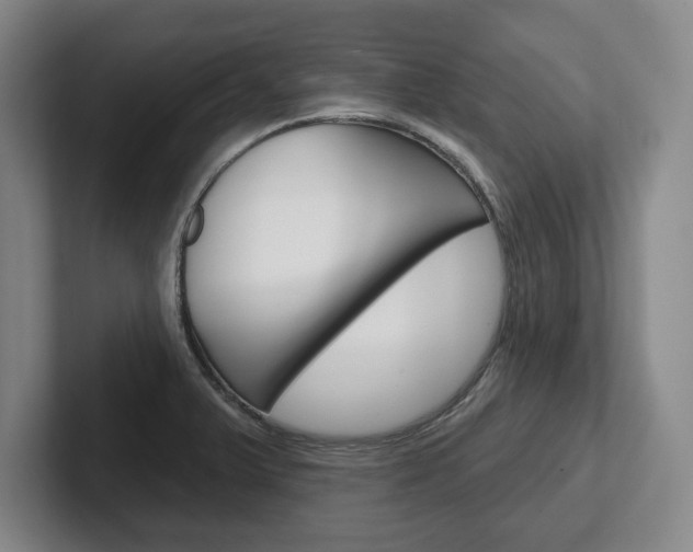 X0000102541375200808081041