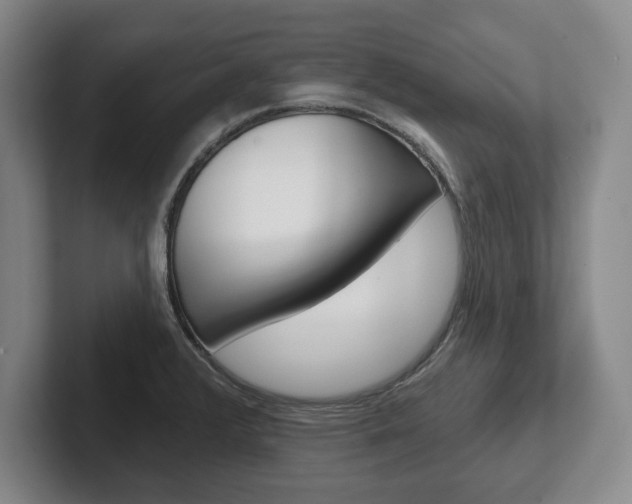 X0000102541376200808081041