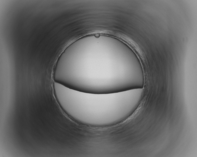 X0000102541377200808081041