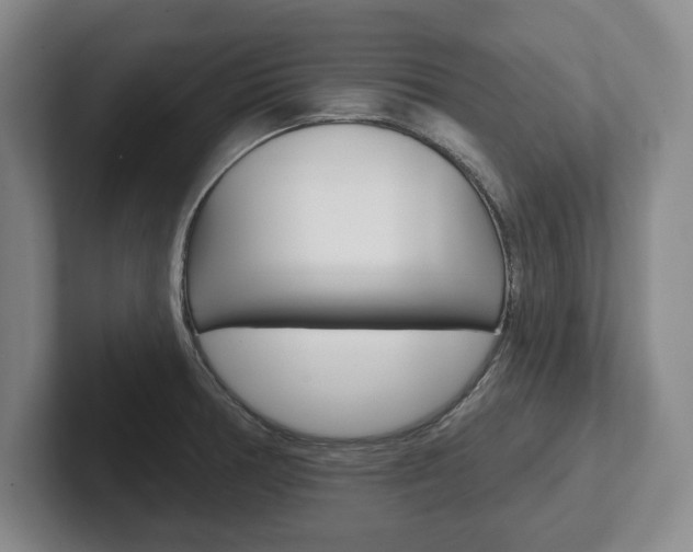 X0000102541378200808081041