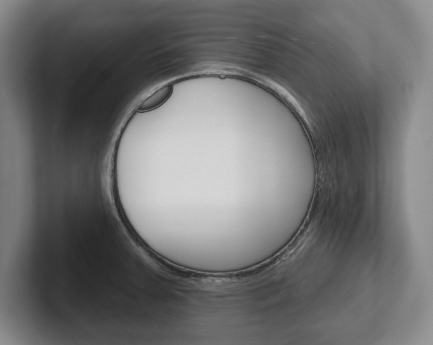 X0000102541379200808081041