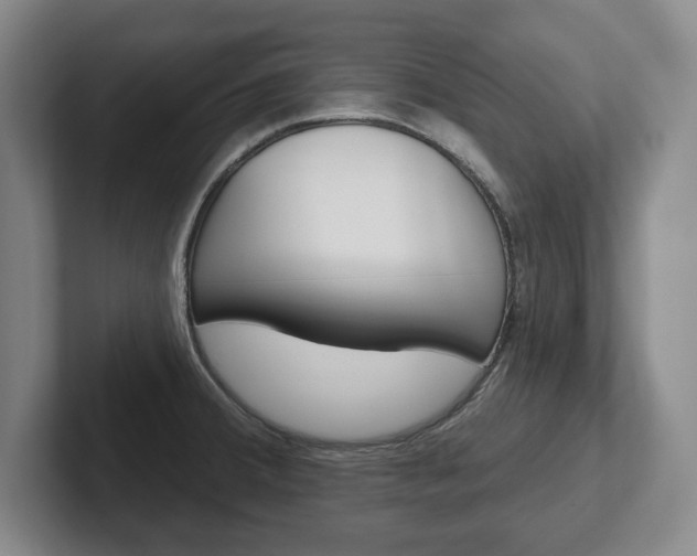 X0000102541380200808081041