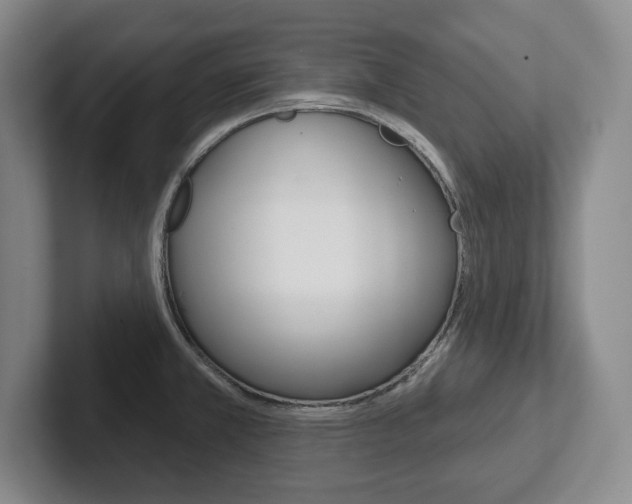 X0000102541381200808081041