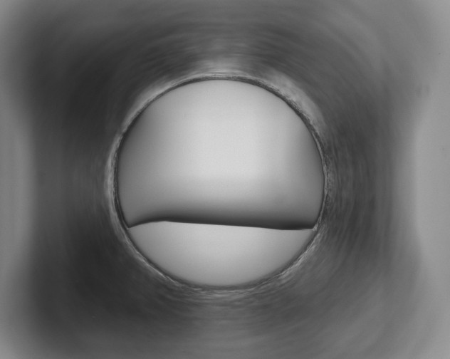 X0000102541382200808081041