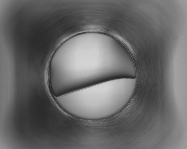 X0000102541383200808081041