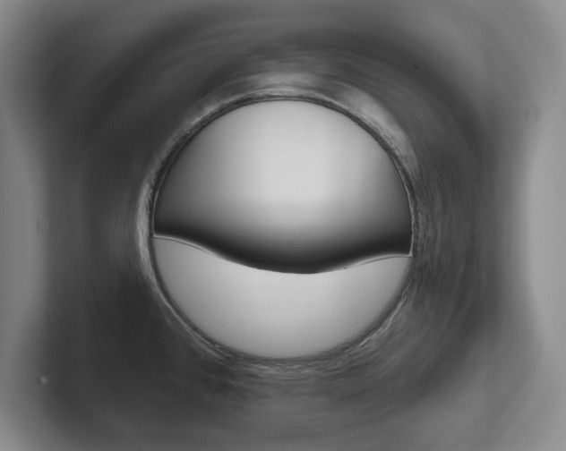 X0000102541384200808081041