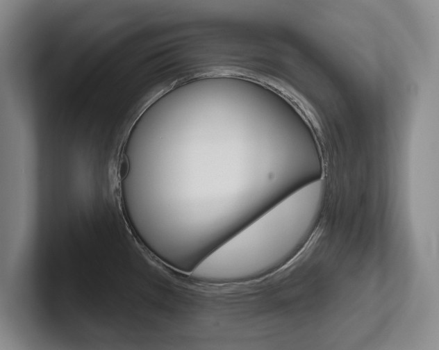 X0000102541385200808081041