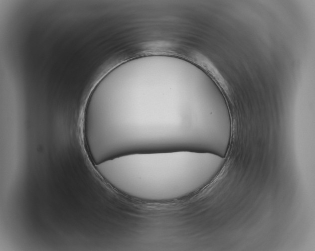 X0000102541386200808081041