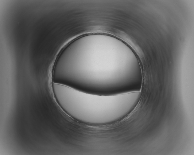 X0000102541388200808081041