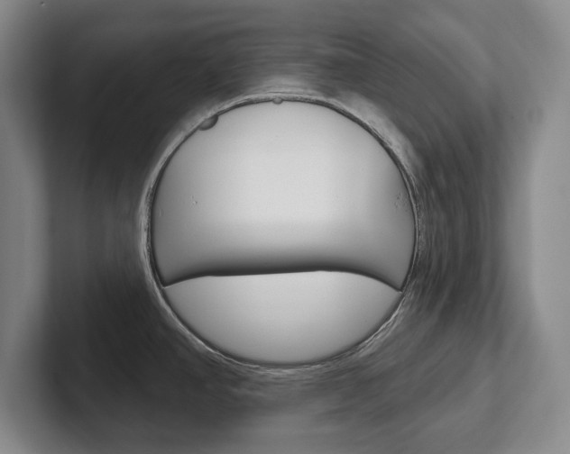 X0000102541390200808081041