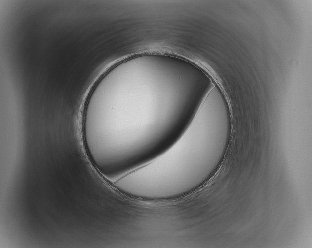 X0000102541392200808081041