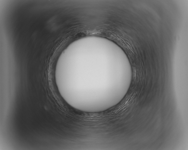 X0000102541393200808081040