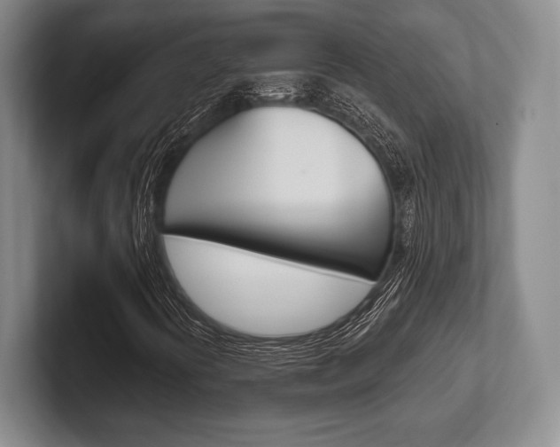 X0000102541394200808081040