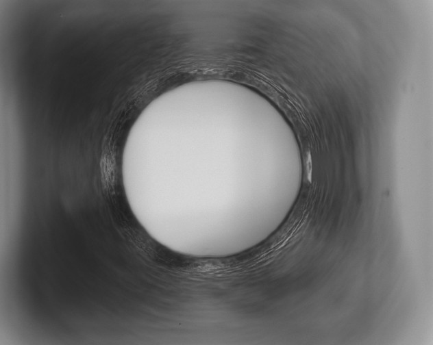 X0000102541395200808081040