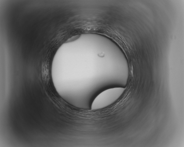 X0000102541396200808081040