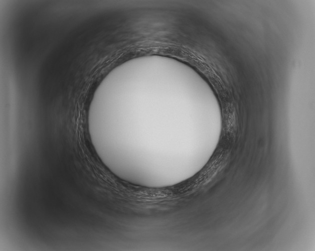 X0000102541397200808081040