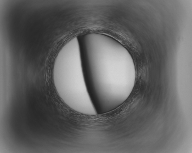 X0000102541398200808081040