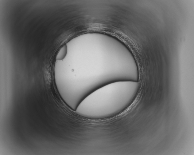 X0000102541401200808081040