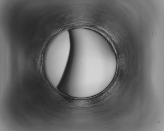 X0000102541402200808081040