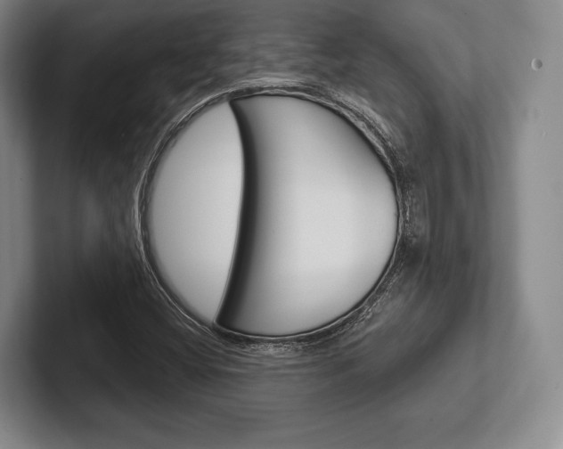 X0000102541404200808081041
