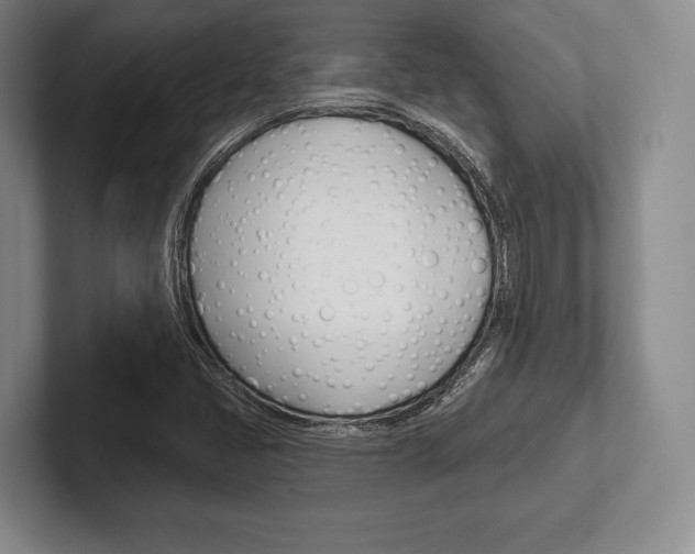 X0000102541405200808081041