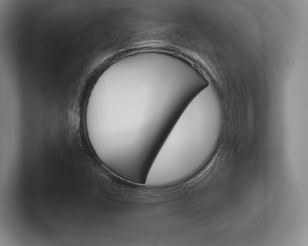X0000102541406200808081041