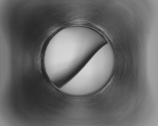 X0000102541410200808081041