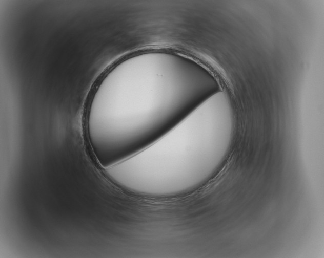 X0000102541412200808081041