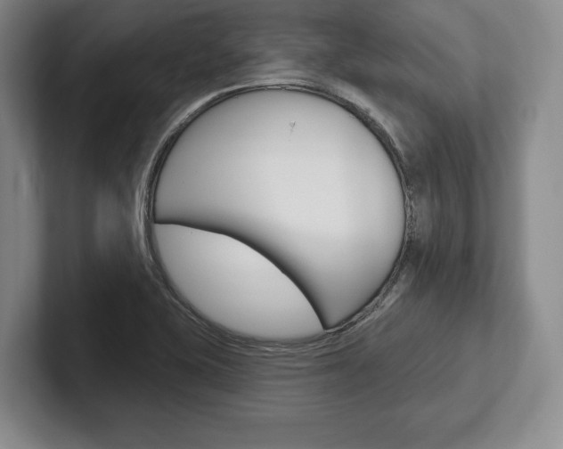 X0000102541415200808081041