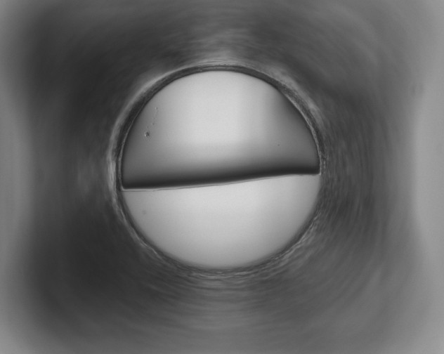 X0000102541416200808081041