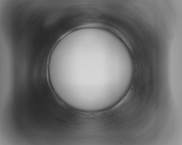X0000102541417200808081041
