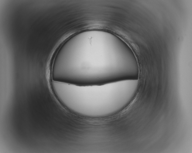 X0000102541418200808081041