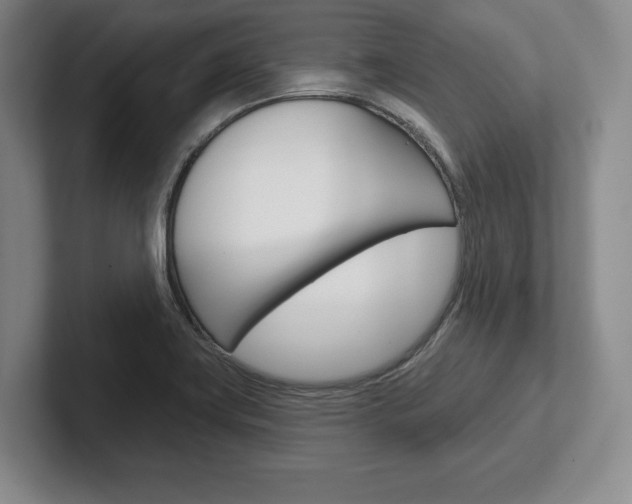 X0000102541419200808081041